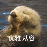 可爱姚啊姚