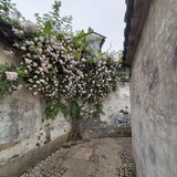 风景旧曾谙