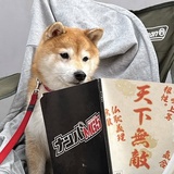 反乌托邦卷王