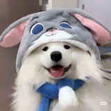 雀食如此