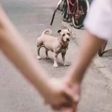 雾里.