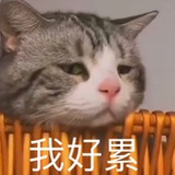 布利布利