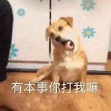 雨一直下