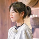 苹果橘子海派