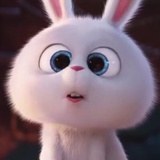 小虾米🦙🦙