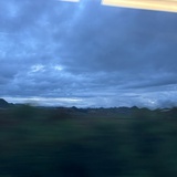 板栗板栗