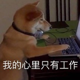THE1-伞丝