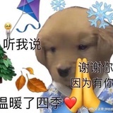 小乳猪