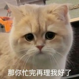 糕糕