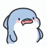 鲨鱼脑袋