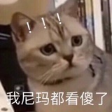 声声声声