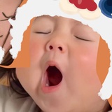多芬的脸蛋子