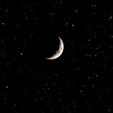 mooncat