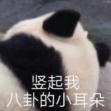 我吃吃吃