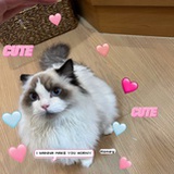 heheyoho_