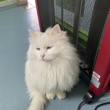 礼拜五的太平洋