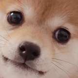 醒了再吃