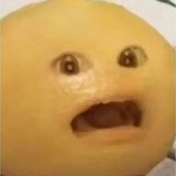 对啊对啊