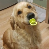 乌堂