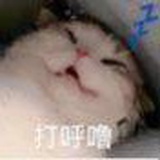 活得像个段子