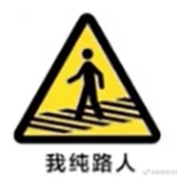 肖特基可可