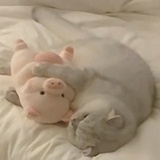 吐泡泡