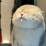 一去二三里