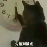 养只格洛米