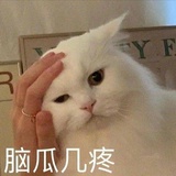 没脸没皮中