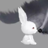 成絮