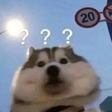 李违