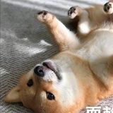 哦 ing