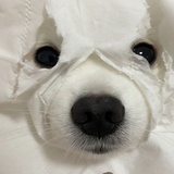 😑心死了