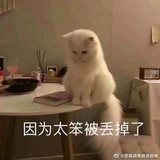 远远ᐝ
