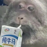 早日退休