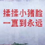 听见月光