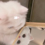 甜腻腻