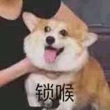 不会取名字