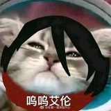 艾伦不想打巨人