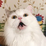 打南边来了个团砸