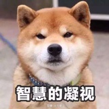 晨阳露珠
