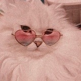 凯蒂猫