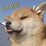 一鸭一鸭哟