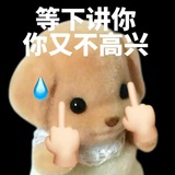 创飞所有人