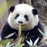 呃呃呃呃