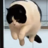 呼吸声
