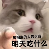 布布尼亚