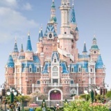 disney在逃分尼