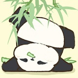 梦柯