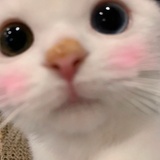 mm